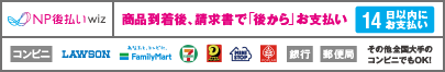 NP後払いwiz